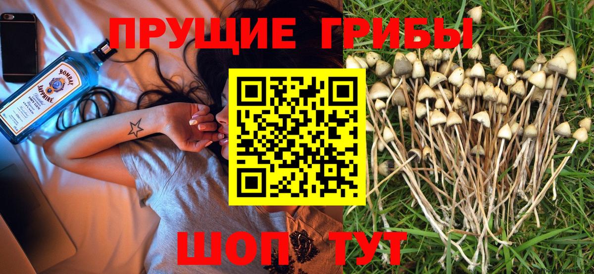 Псилоцибиновые грибы Magic Shrooms Киров